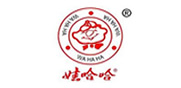 娃哈哈
